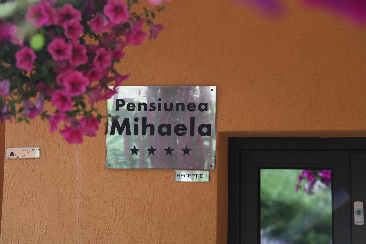 Pensiunea Mihaela โปยานาบราซอฟ ภายนอก รูปภาพ